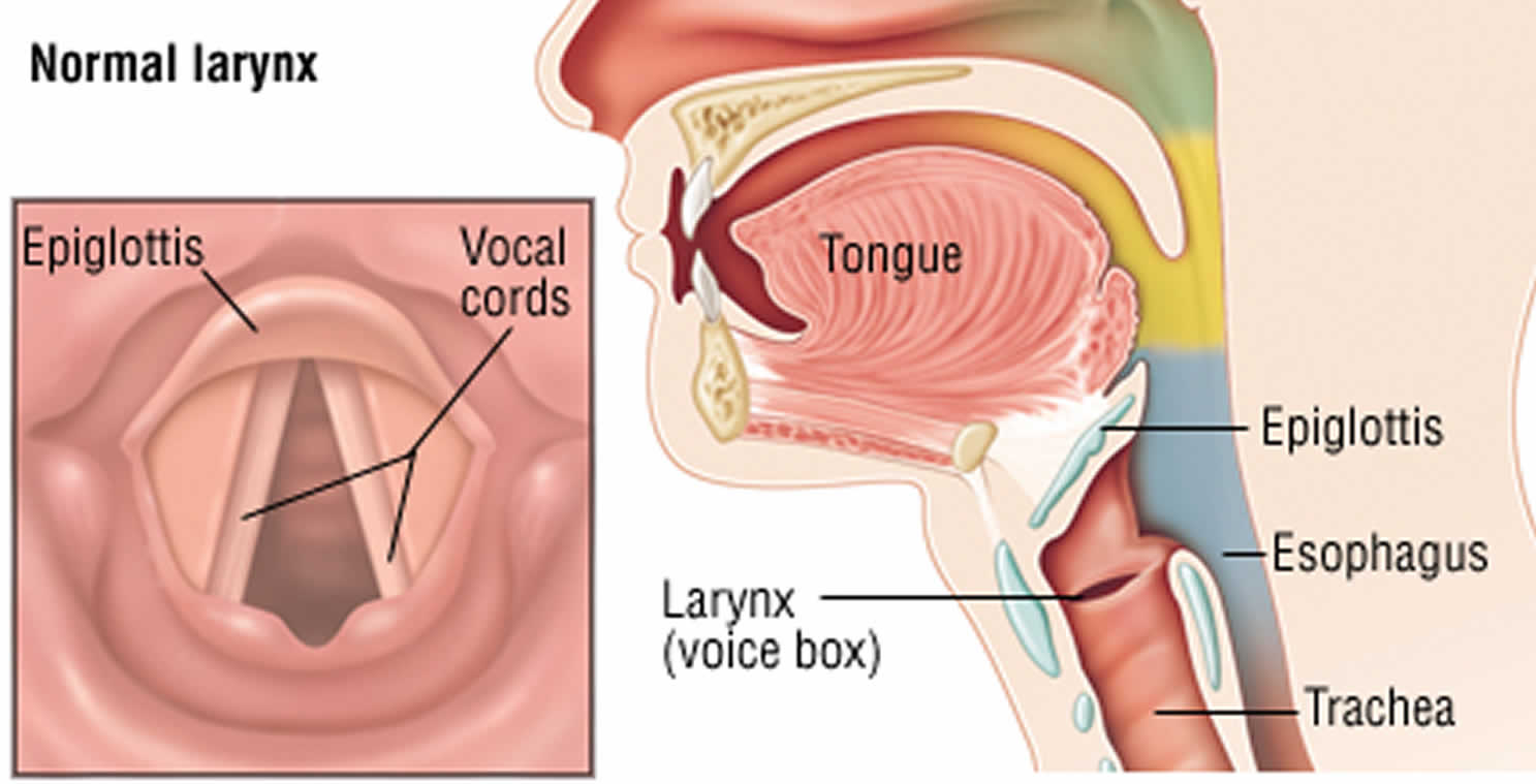 Epiglottitis Treatment Market