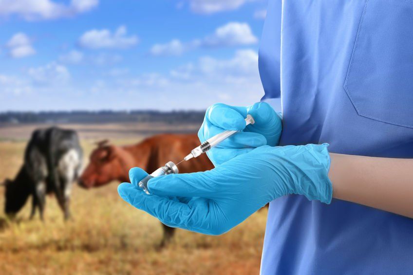 Farm Animal Drugs Market