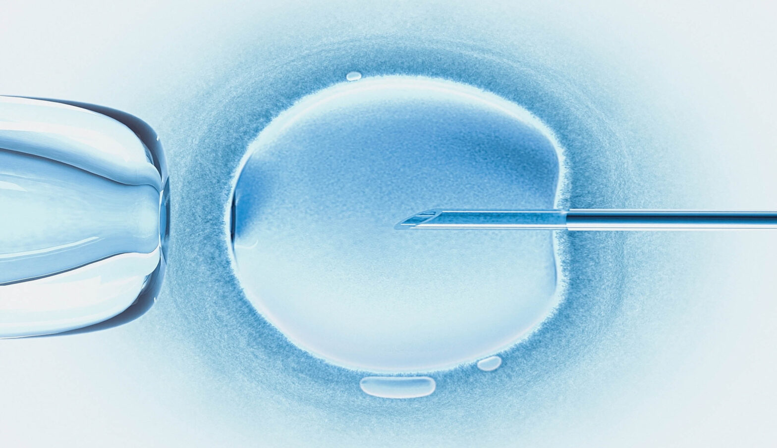 In Vitro Fertilization Banking Services Market