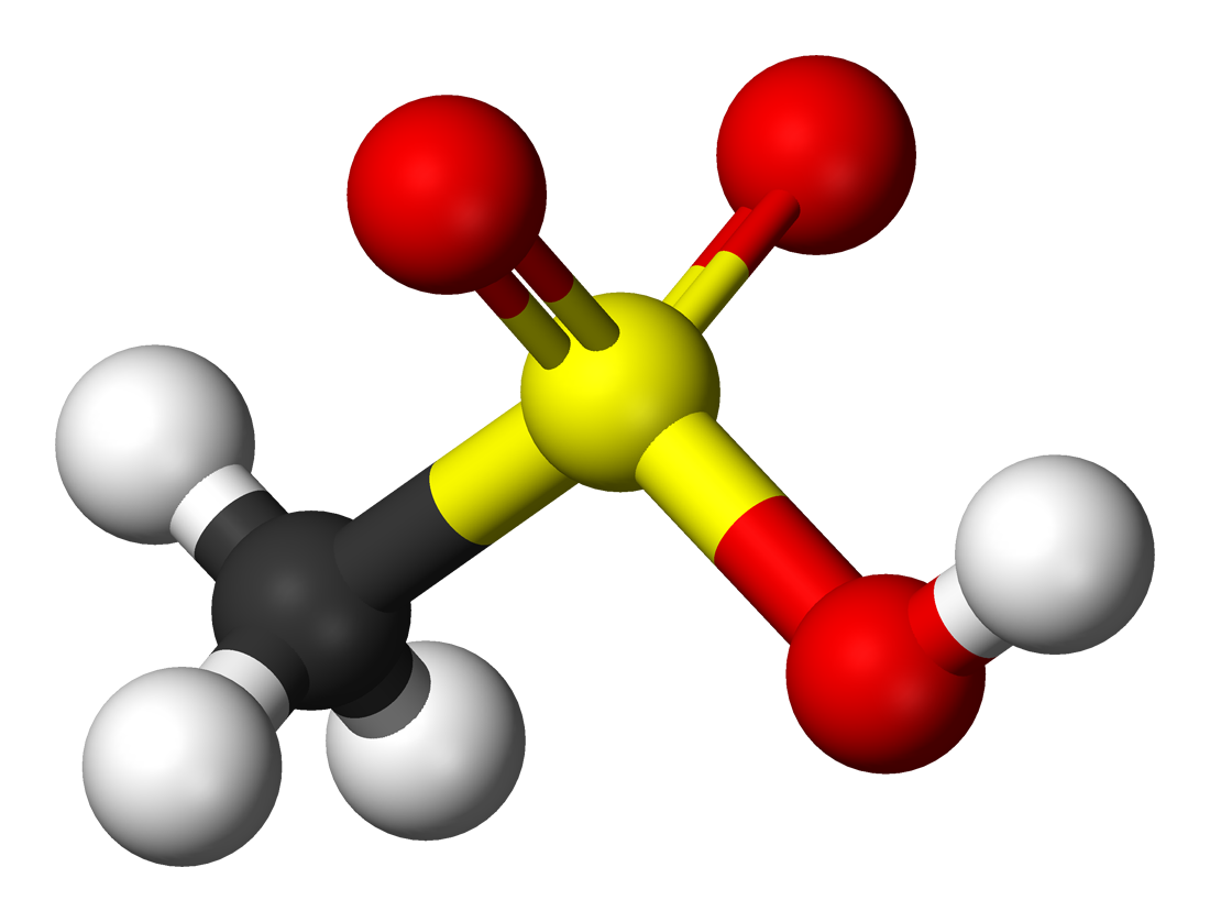 Methane Sulfonic Acid