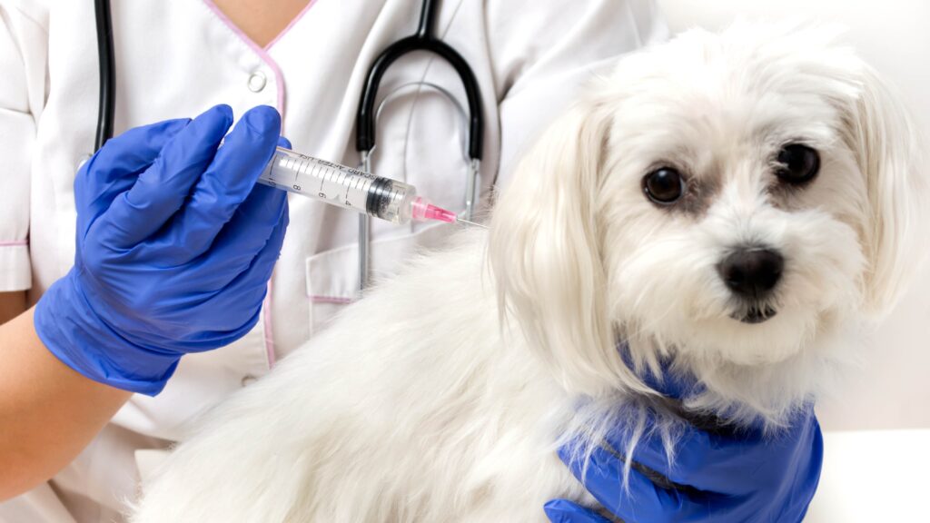 Middle East Veterinary Vaccines Industry