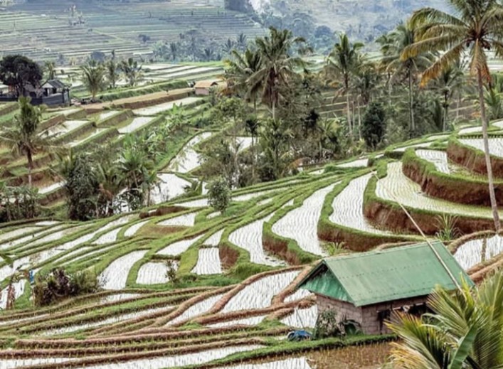 Indonesia Sustainable Tourism