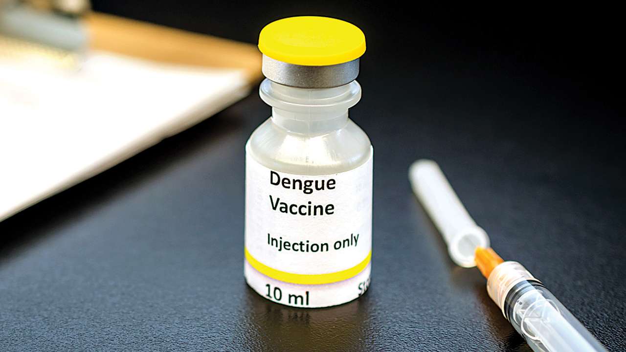 dengue vaccine