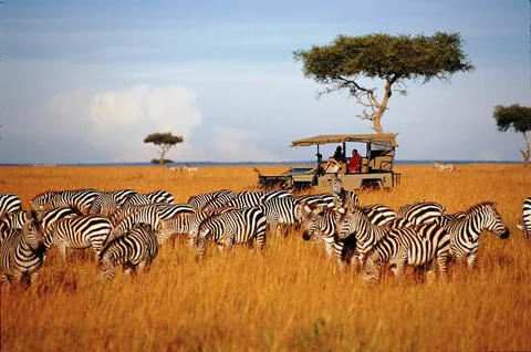 Africa Adventure Tourism Market