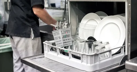 Portable Dishwasher Market