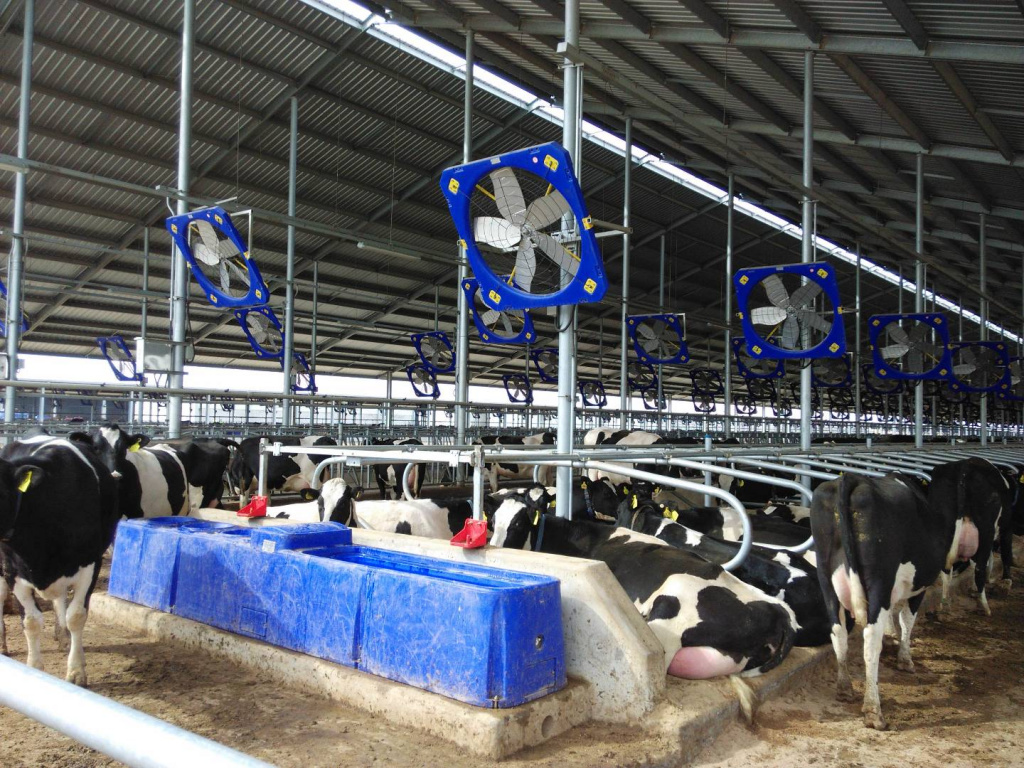 Automatic Cattle Waterer Market
