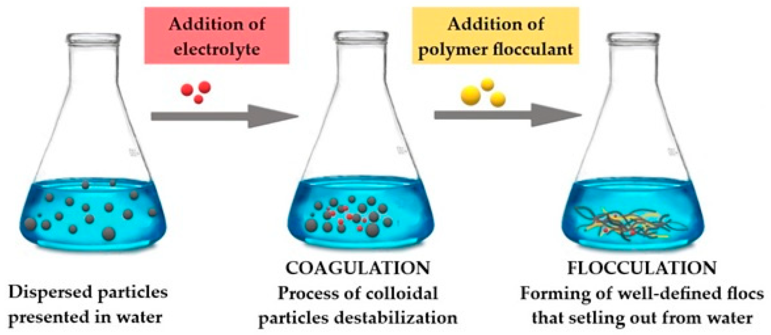 Flocculant and Coagulant Market