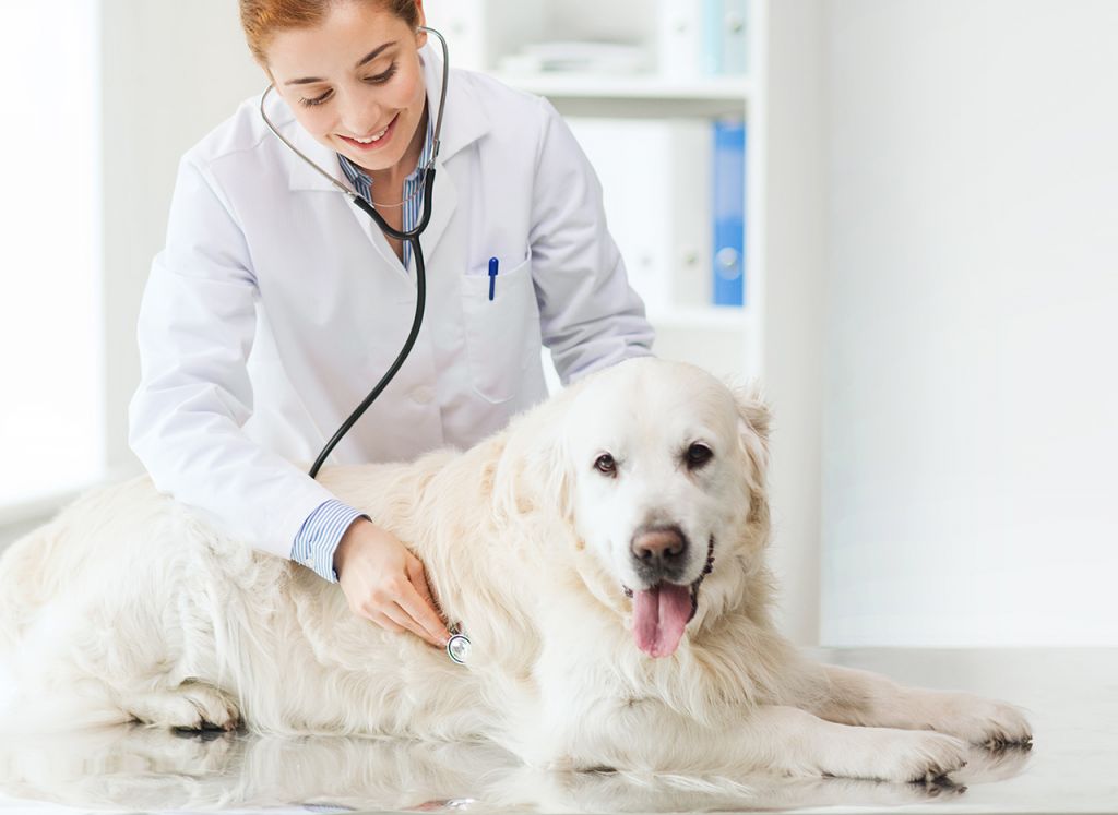 Global Animal Healthcare Industry