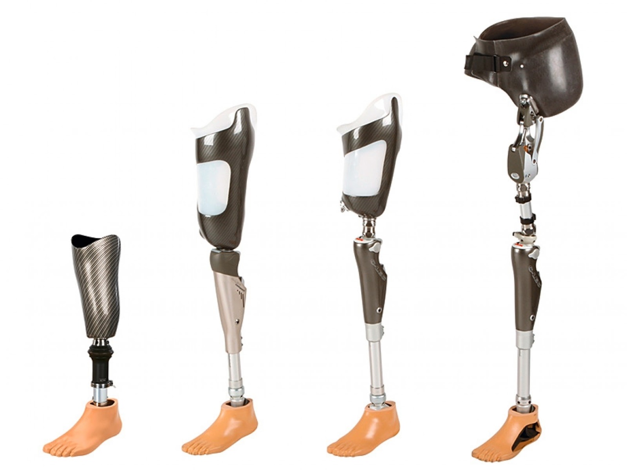 Global Motorized Prosthesis Industry