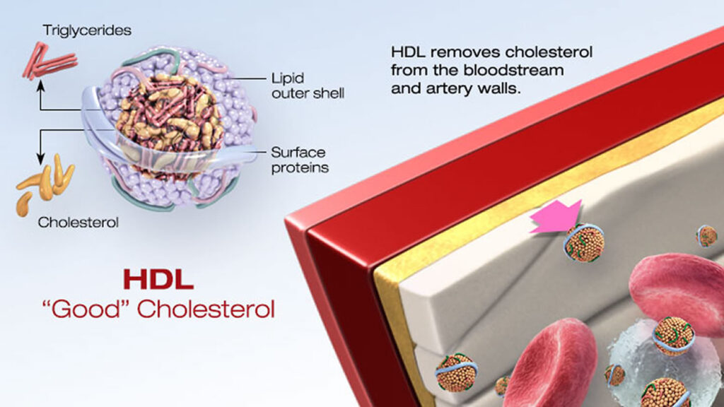HDL Cholesterol Kits Market