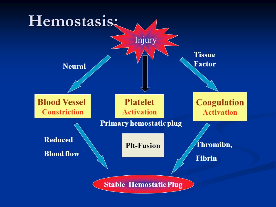 Hemostasis Testing Systems Market