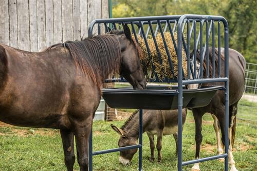 Horse Grain Feeders Market