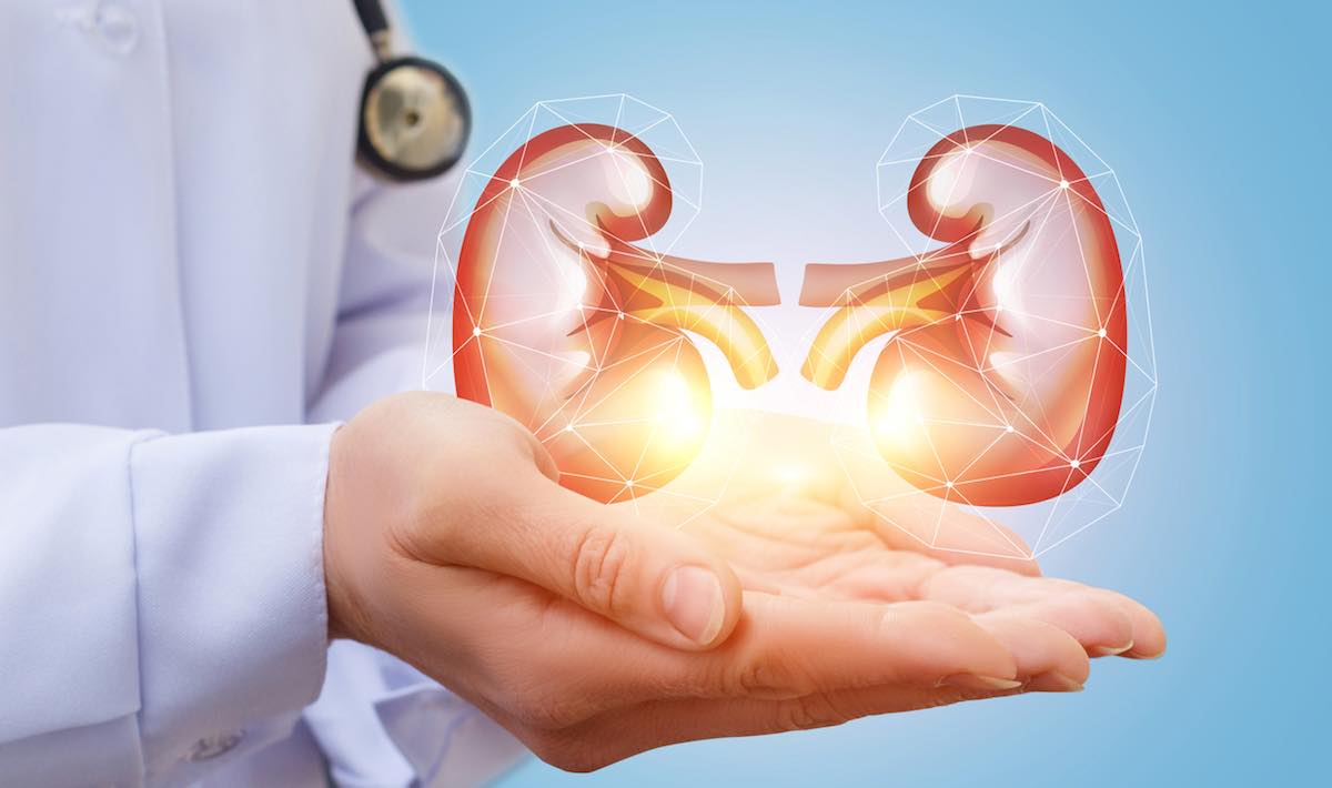 Kidney Transplant Market