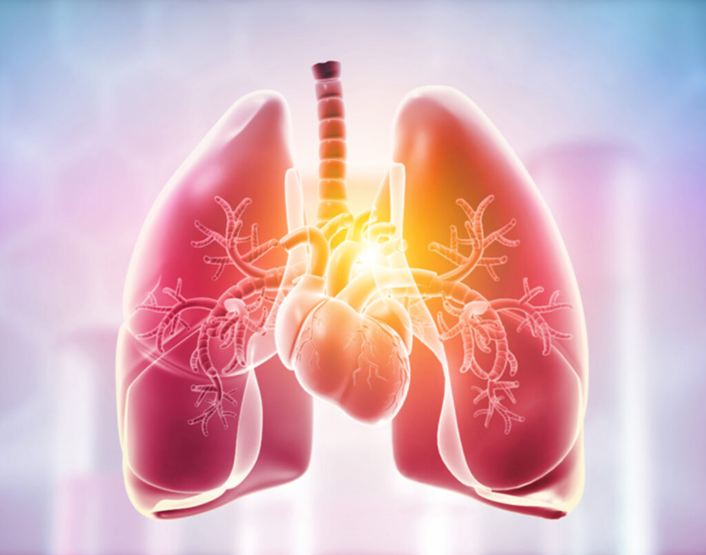 Lung Cancer Therapeutics Market..