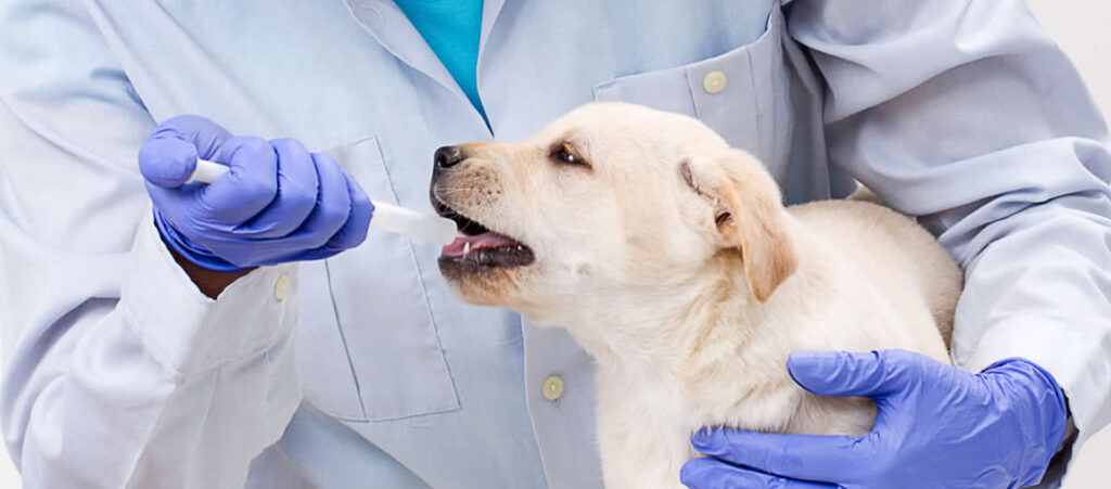 Over-The-Counter (OTC) Veterinary Drugs Market