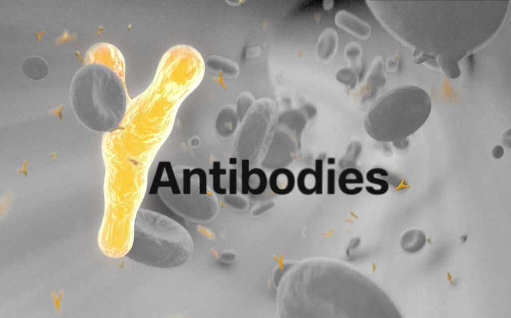 Research Antibodies Market