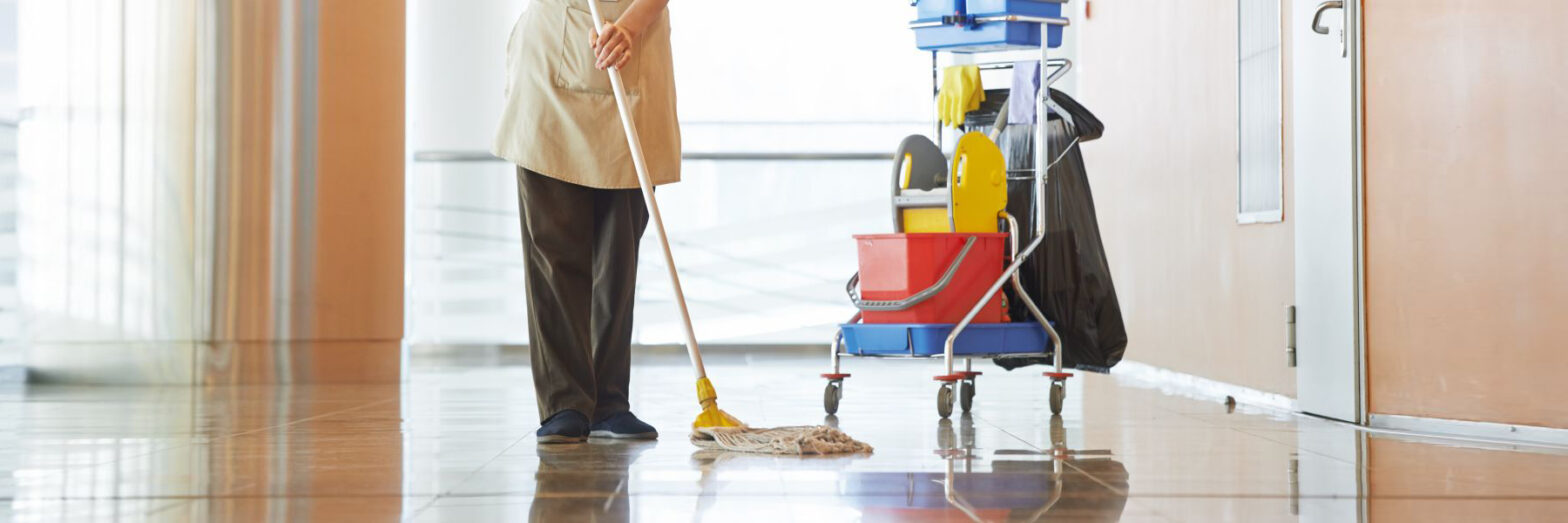 Global Medical Cleaning Devices Industry