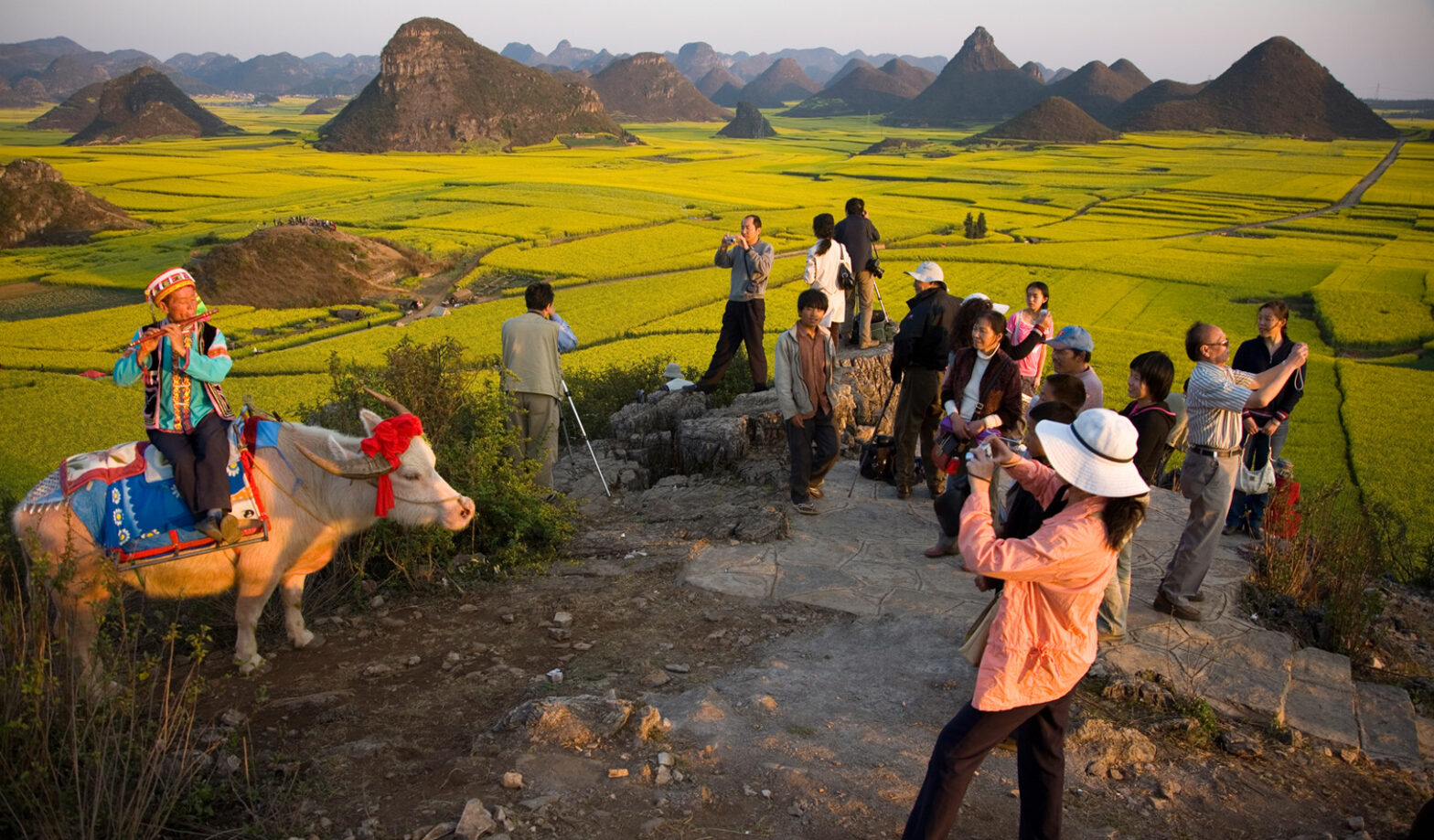 Cultural Tourism Market