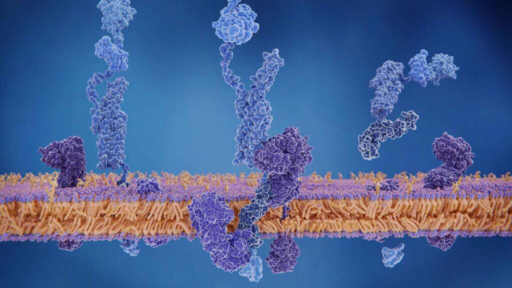 AL Amyloidosis Therapeutics Industry