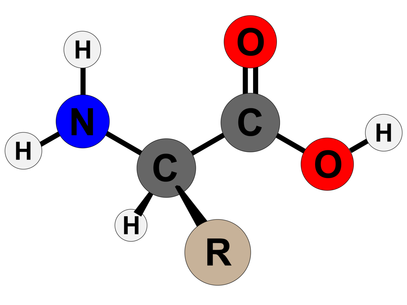 Amino Acids Market