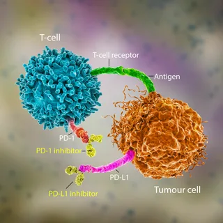 Checkpoint Inhibitor Refractory Cancer Market