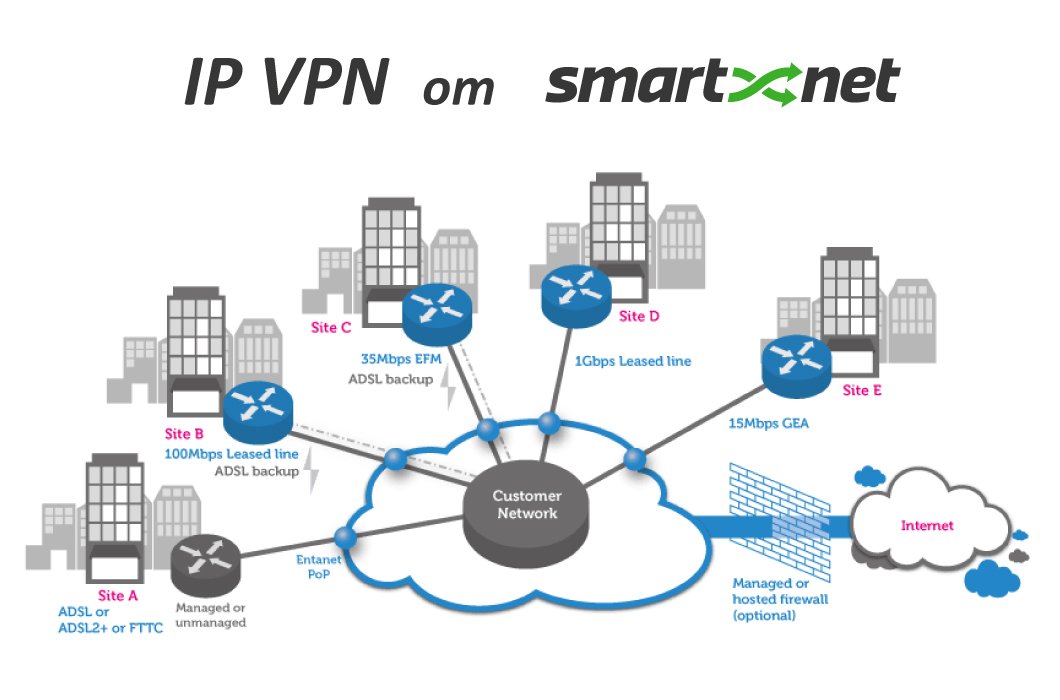 IP-MPLS VPN Services Market