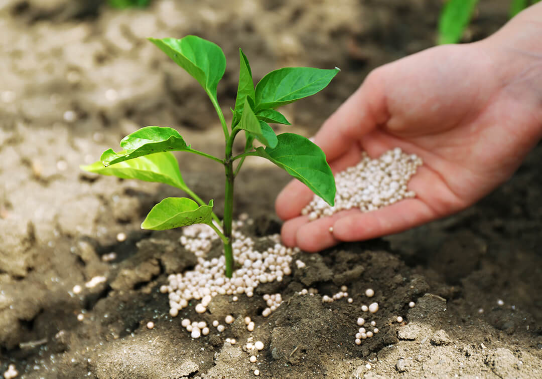 Fertilizer Additive Market