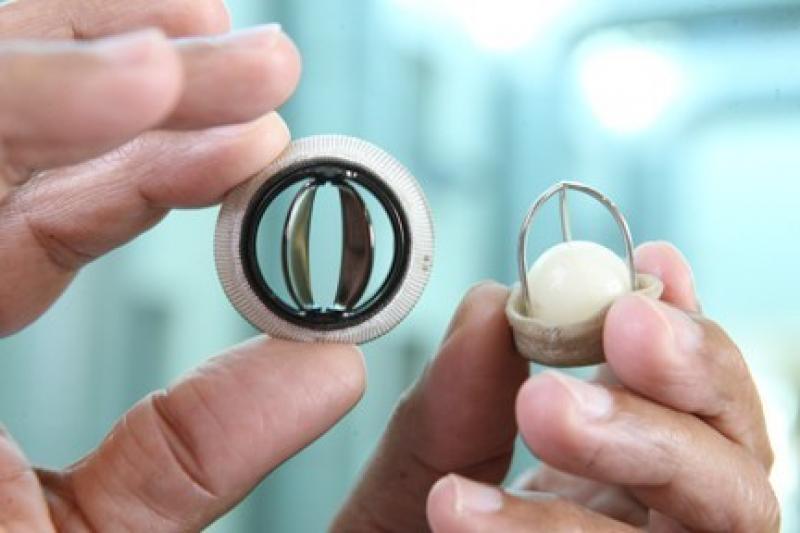 Global Prosthetic Heart Valve Industry