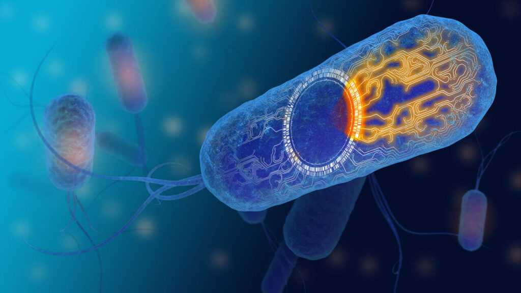 Hyperammonemia Treatment Market