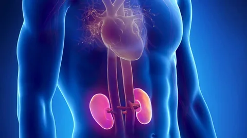 Late Stage Chronic Kidney Disease TherapeuticsMarket