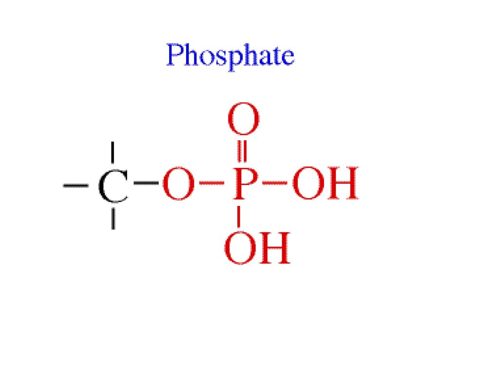 Phosphates Market