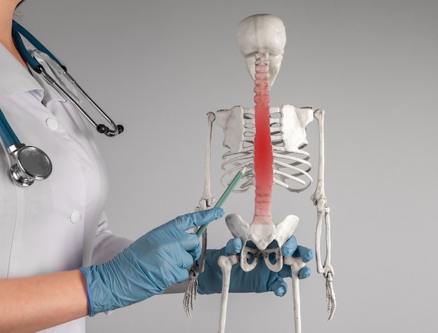 Rib Fracture Repair Systems Industry