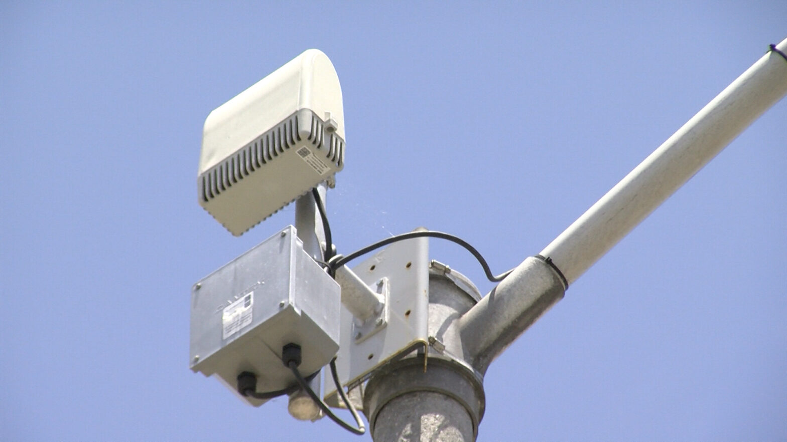 Bird Detection System Market