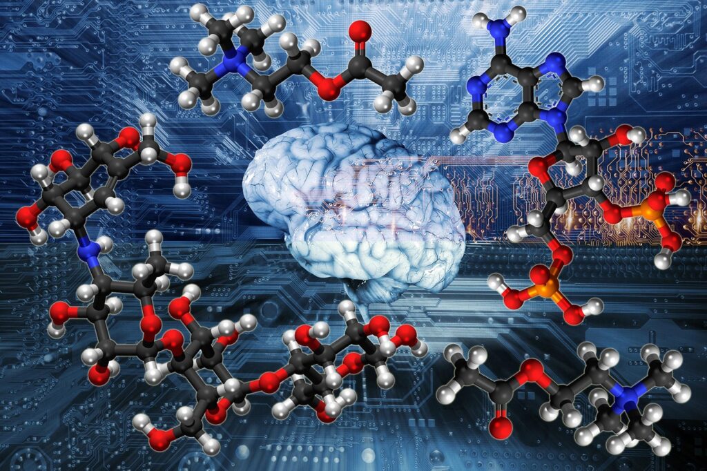 Small Molecule-Drug Conjugates 