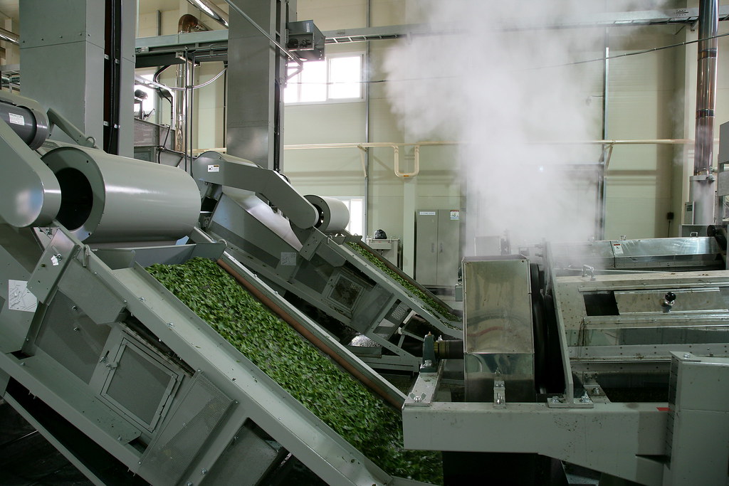 Tea Processing Equipment Market