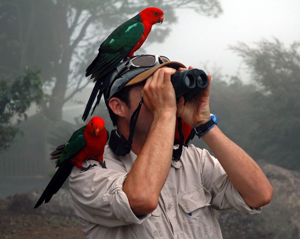 Ornithology Tourism Market