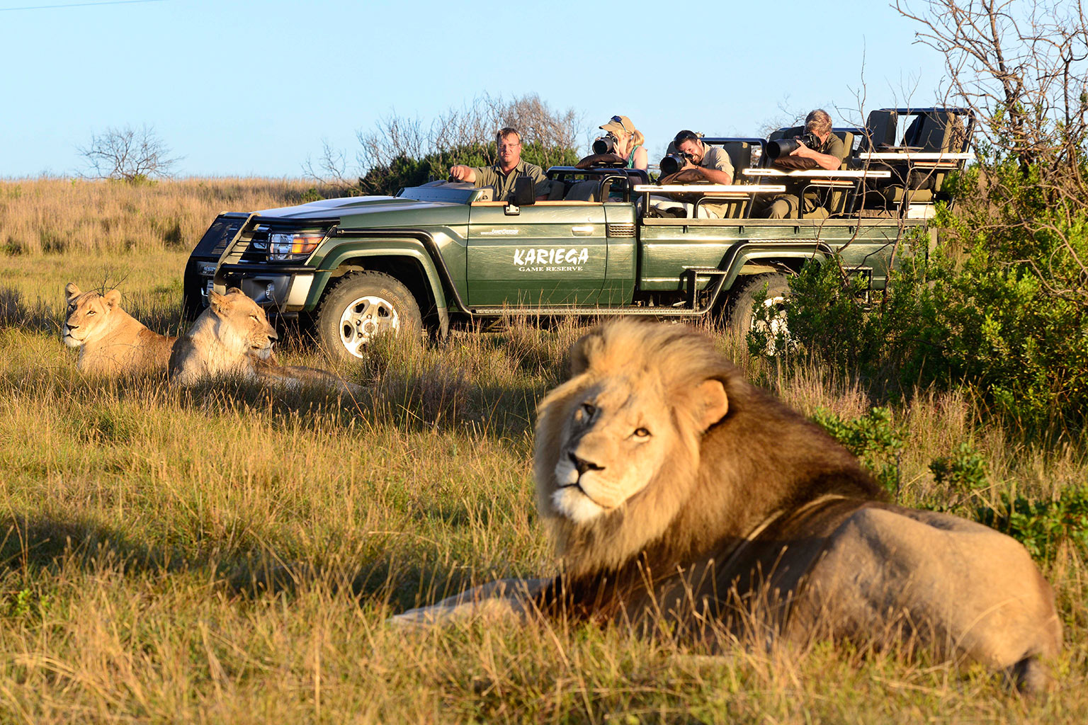 Safari Tourism Market 