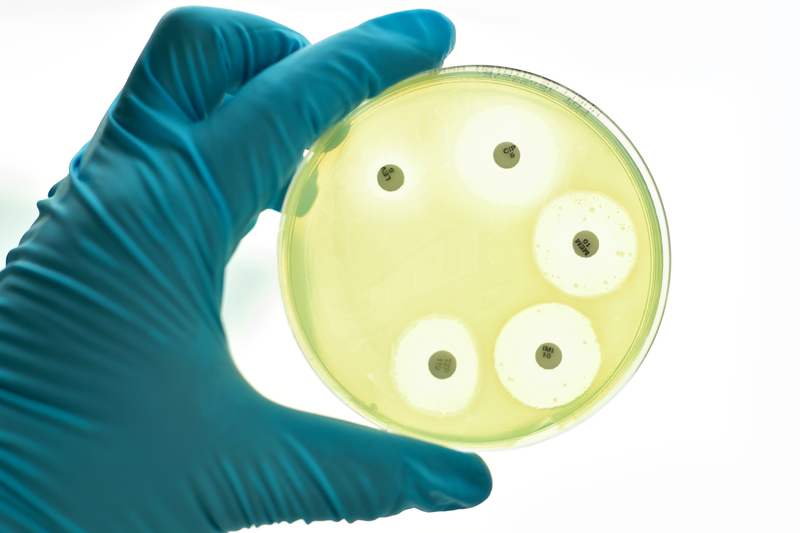 Antibiotic Susceptibility Testing Market