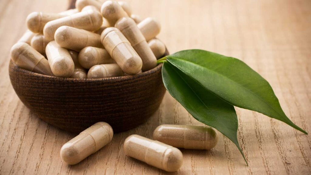 Ayurvedic Supplement Industry