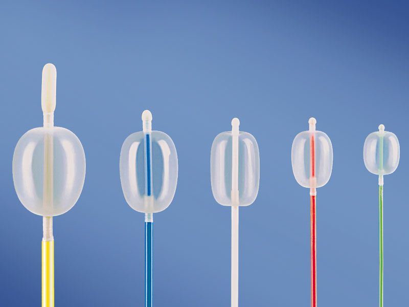 Balloon Catheter Industry