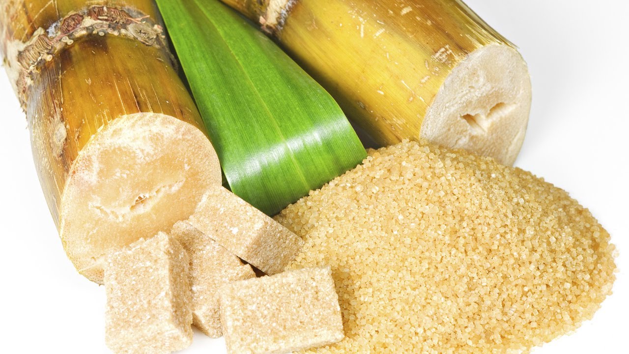 Cane Sugar Market