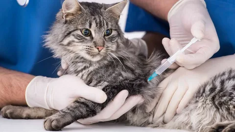 Companion Animal Vaccines Market