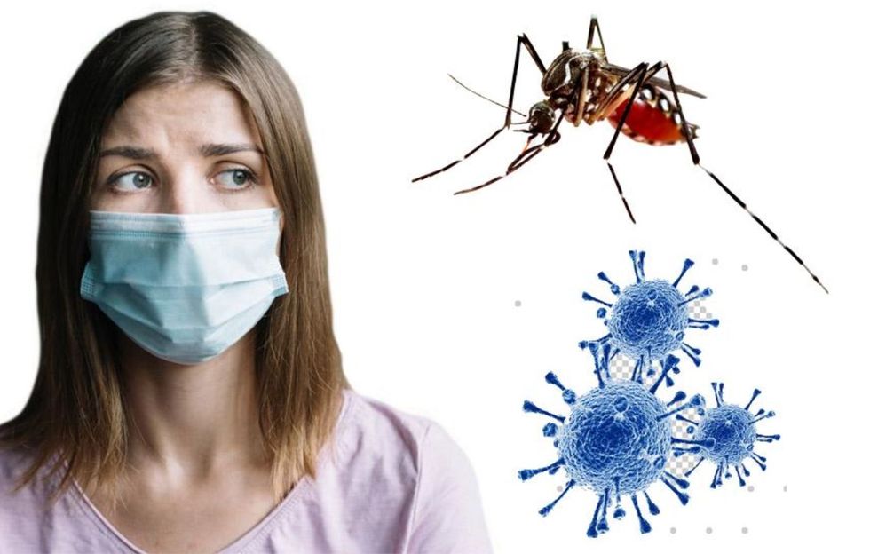 Dengue Fever Treatment Industry