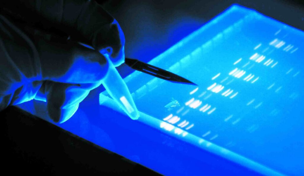 Electrophoresis Market