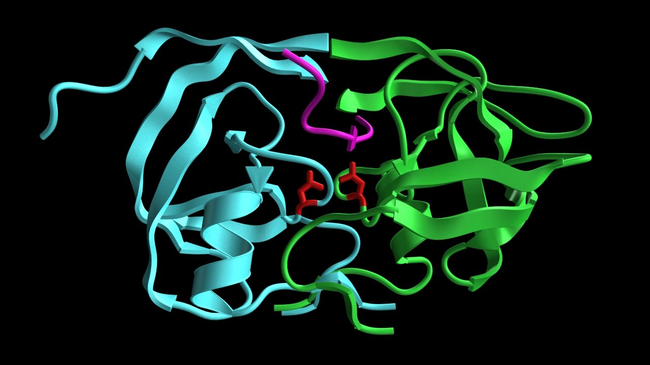 Europe Protease Market