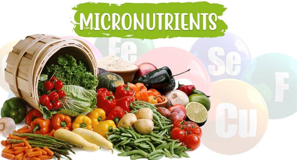 Feed Micronutrients Market
