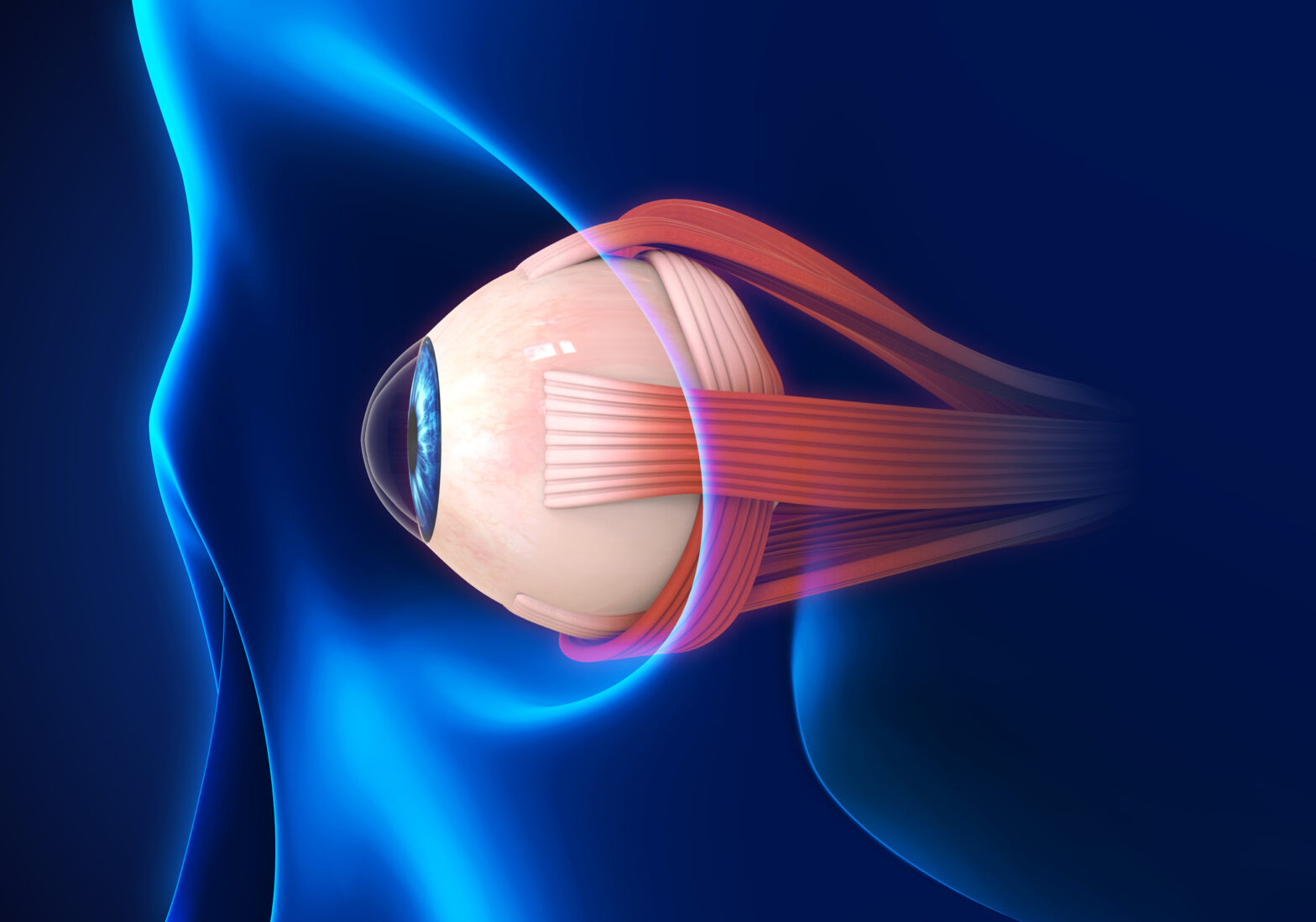 Global Ocular Drug Delivery System Industry