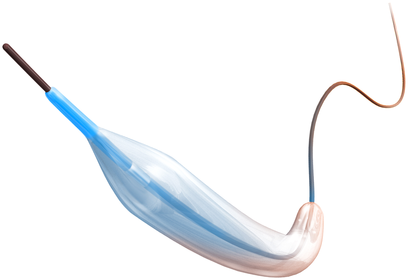 Global Micro Balloon Catheter Industry