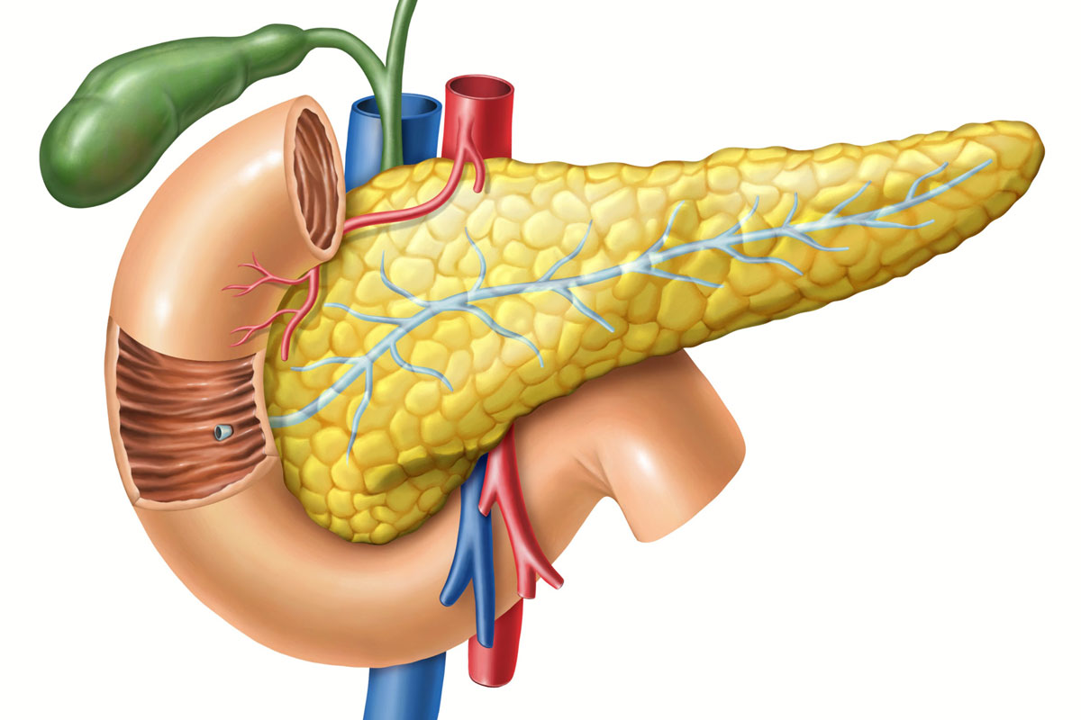 Global Pancreatic Stone Protein Testing Industry