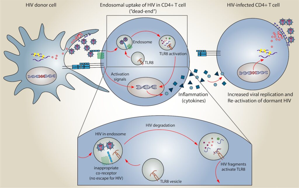 HIV Antivirals Industry